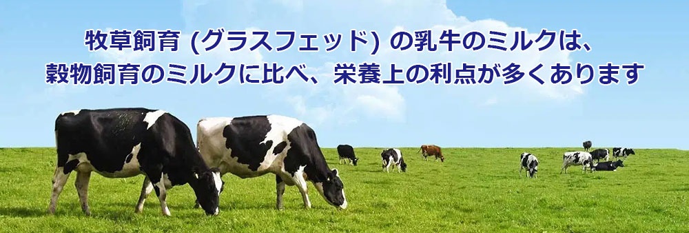 放牧飼育(グラスフェッド)の乳牛のミルクは、穀物飼育のミルクに比べ、栄養上の利点が多くあります